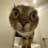 Kpgjlkfk\fs\'s avatar