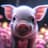 Xell's avatar